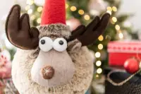 Wunschzettel für den Nikolaus Wunschzettel für den Nikolaus